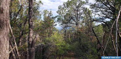 72x Joseph Blane Rd, Silver City, NM 88061 - photo 2