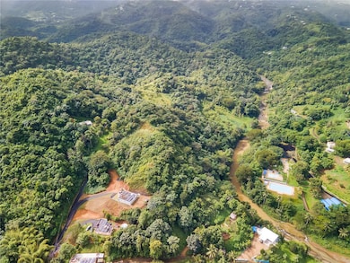 0 Bo Mulas Carr 174 Km Hm 19 6 Int unit SOLAR 1 MFRPR9111511, Aguas Buenas, PR 00703 - photo 3