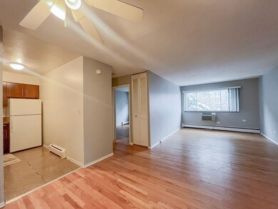 736 W Buena Ave unit 402, Chicago, IL 60613 - photo 5