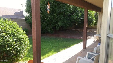CarolAnnBackyard