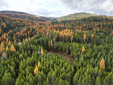 TBD Schlegel Ranch Lot 11 Rd, Ione, WA 99139 - photo 4