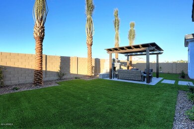 Backyard2