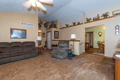 RN5_0206