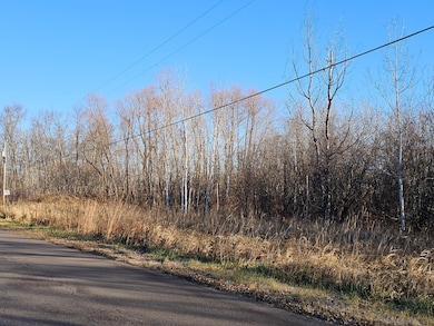 TBD Whistle Rd, Isle, MN 56342 - photo 3