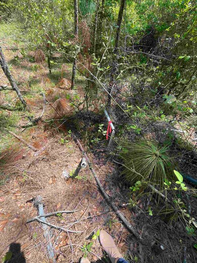 161 Royal Oaks Ct, Crawfordville, FL 32327 - photo 5