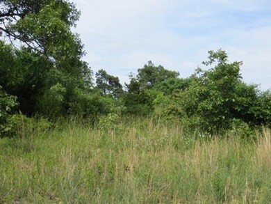 6369 pasture & trees
