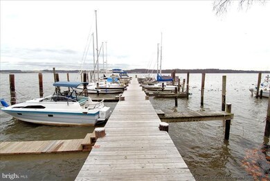 7115 Park Terrace Dr, Alexandria, VA 22307 - photo 5