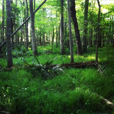 paul's pics 05.20.15 194