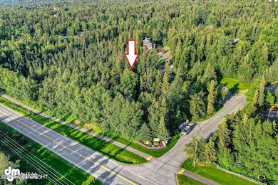 L1 Downey Finch Dr, Anchorage, AK 99516 - photo 5