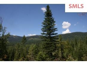 Lot 3 Larsen Ranch Ln, Sandpoint, ID 83864 - photo 5