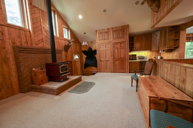 12244 Leos Rd, Suring, WI 54174 - photo 5