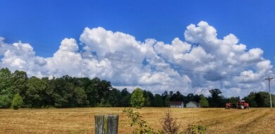 0 Fredonia Rd unit RTC1963611, Manchester, TN 37355 - photo 3