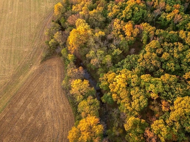 2990 170th St, Valley Falls, KS 66088 - photo 5