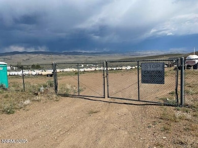 4249 Nevada 208, Smith Valley, NV 89444 - photo 4