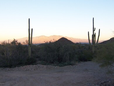 from house site looking east