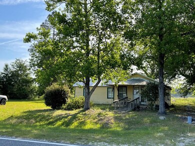 341 Collins Loop, Odum, GA 31555 - photo 2