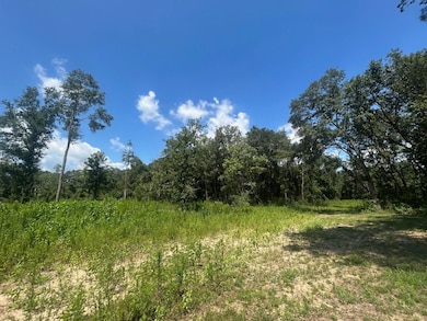 0 Creel Rd unit 23965084, Theodore, AL 36582 - photo 4