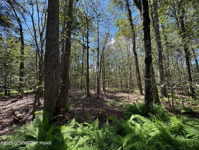 0 Gross Dr, Pocono Pines, PA 18350 - photo 3