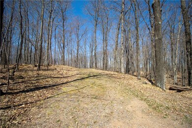 2437 2 Bear Rd, Weyerhaeuser, WI 54895 - photo 3