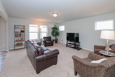59256 Silvergrass-103 LR to back windows