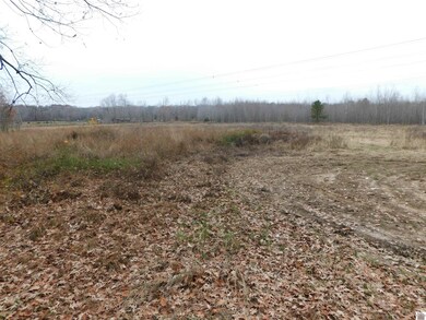 00 Lawson Johnson Rd, Benton, KY 42025 - photo 2