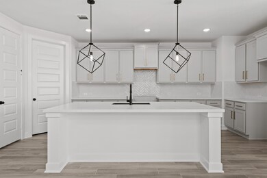 27138 Coneflower Daisy Way, Hockley, TX 77447 - photo 3