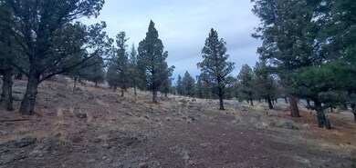 Unit 1 Lot 16 Lake Shore Dr unit 1, Weed, CA 96094 - photo 2