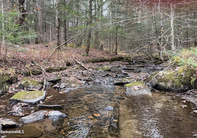 LOT10 Benton Hill Rd, Becket, MA 01223 - photo 4