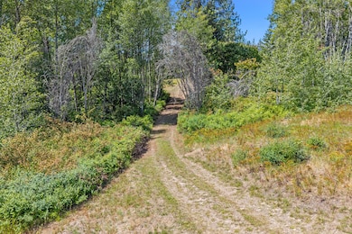 NNA Dry Creek Rd, Chewelah, WA 99109 - photo 3