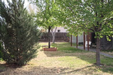 Shaded Yard