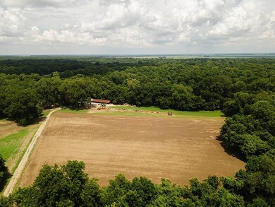 Norfolk Landing Rd, Lake Cormorant, MS 38641 - photo 4