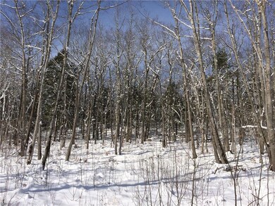 Looking Northwest and uphill from...