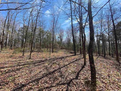 144 Old Ridge Rd, Pangburn, AR 72121 - photo 2