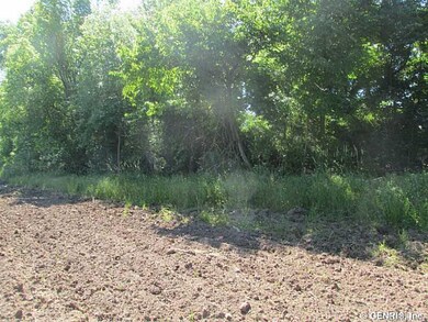 Land/Lot.