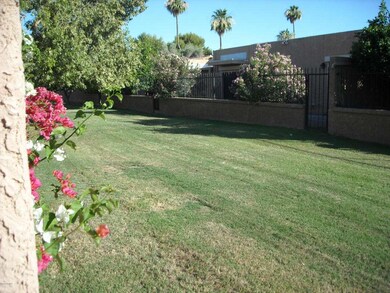 Space off the Backyard