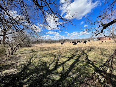 TBD SE County Road 3071, Corsicana, TX 75109 - photo 3