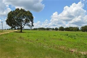 31227 Choctaw Hills Dr, Franklinton, LA 70438 - photo 7