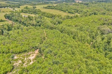 05-DJI_20250602133649_0046