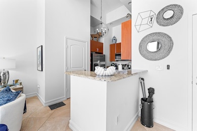 701 S Olive Ave unit 302, West Palm Beach, FL 33401 - photo 7