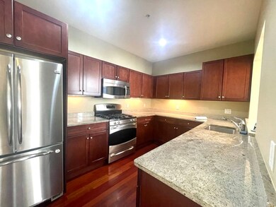 20 Corporal McTernan St unit 208, Cambridge, MA 02139 - photo 2