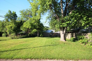 Backyard 2