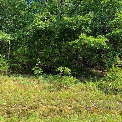 0 County Road 7160, Rolla, MO 65401 - photo 7