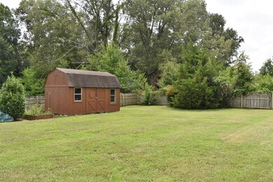 -backyard2