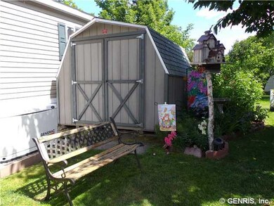 Shed Woodtex Storage Building