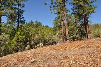 0 Pair-A-dice Ranch Rd unit 102988472, Jacksonville, OR 97530 - photo 4