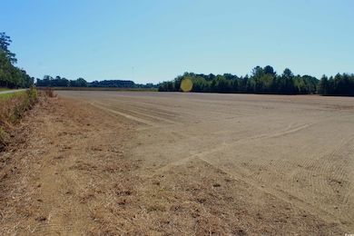 1 TBD Dew RD Dew Rd, Marion, SC 29571 - photo 3