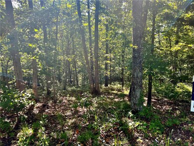 Lot 19 & 20 Arran Ln, Bella Vista, AR 72715 - photo 3