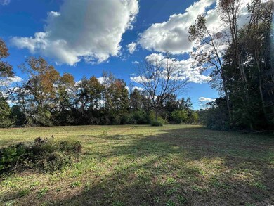 TBD Terry Rd, Andrews, SC 29510 - photo 3