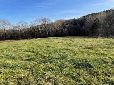 231 Highway 1003, Somerset, KY 42501 - photo 7