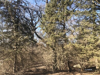 957 Watercress Dr, Naperville, IL 60540 - photo 3